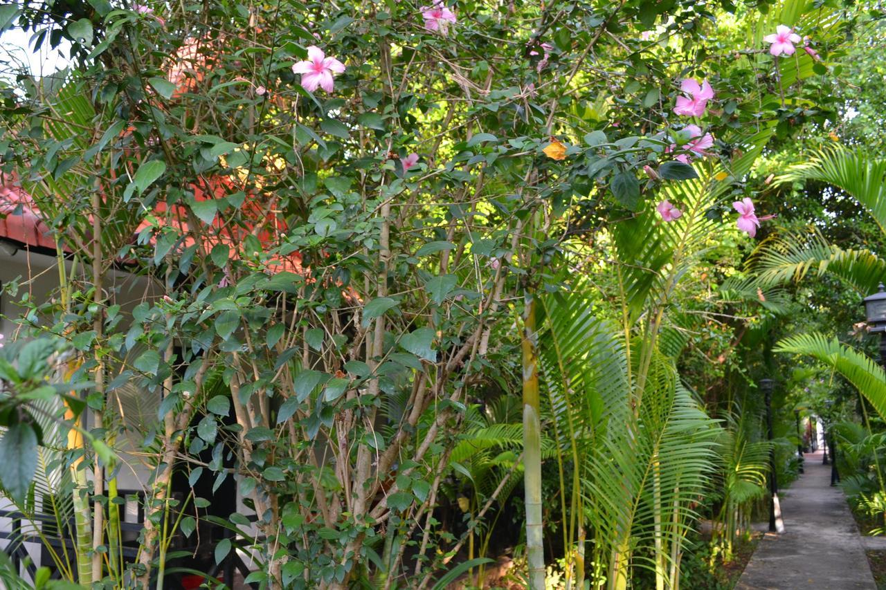 Nature Boutique Residence سيام ريب المظهر الخارجي الصورة
