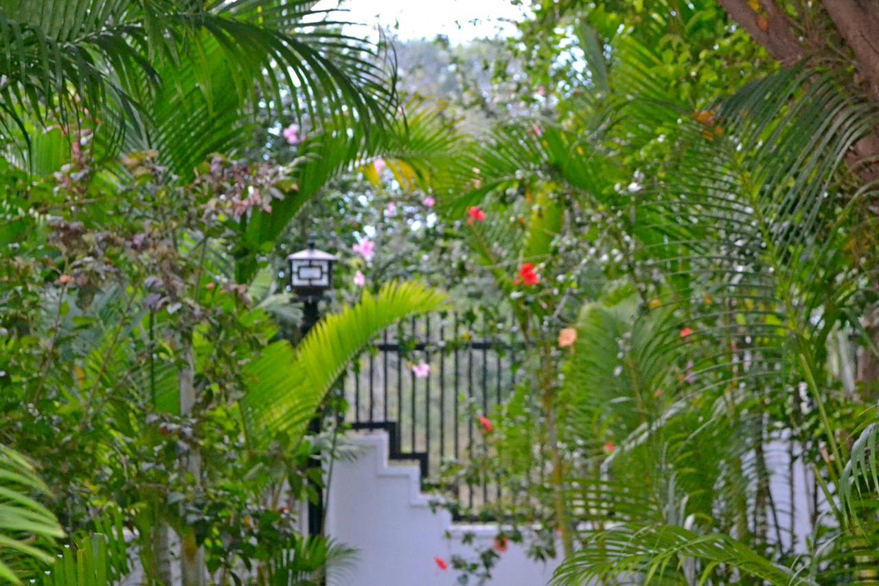 Nature Boutique Residence سيام ريب المظهر الخارجي الصورة